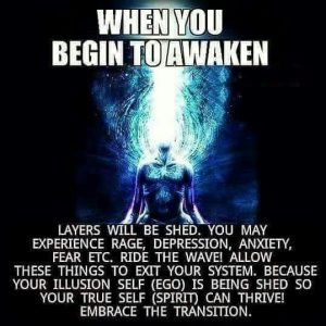 Kirsty Melmed | Awaken