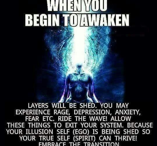 Kirsty Melmed | Awaken