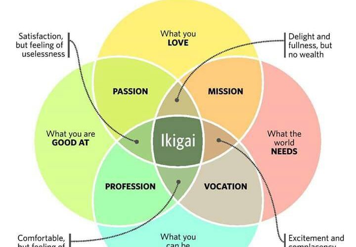 Kirsty Melmed | Ikigai