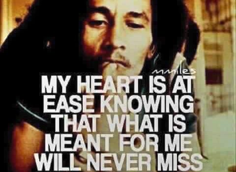 Kirsty Melmed Life Coach | Trust The Timing